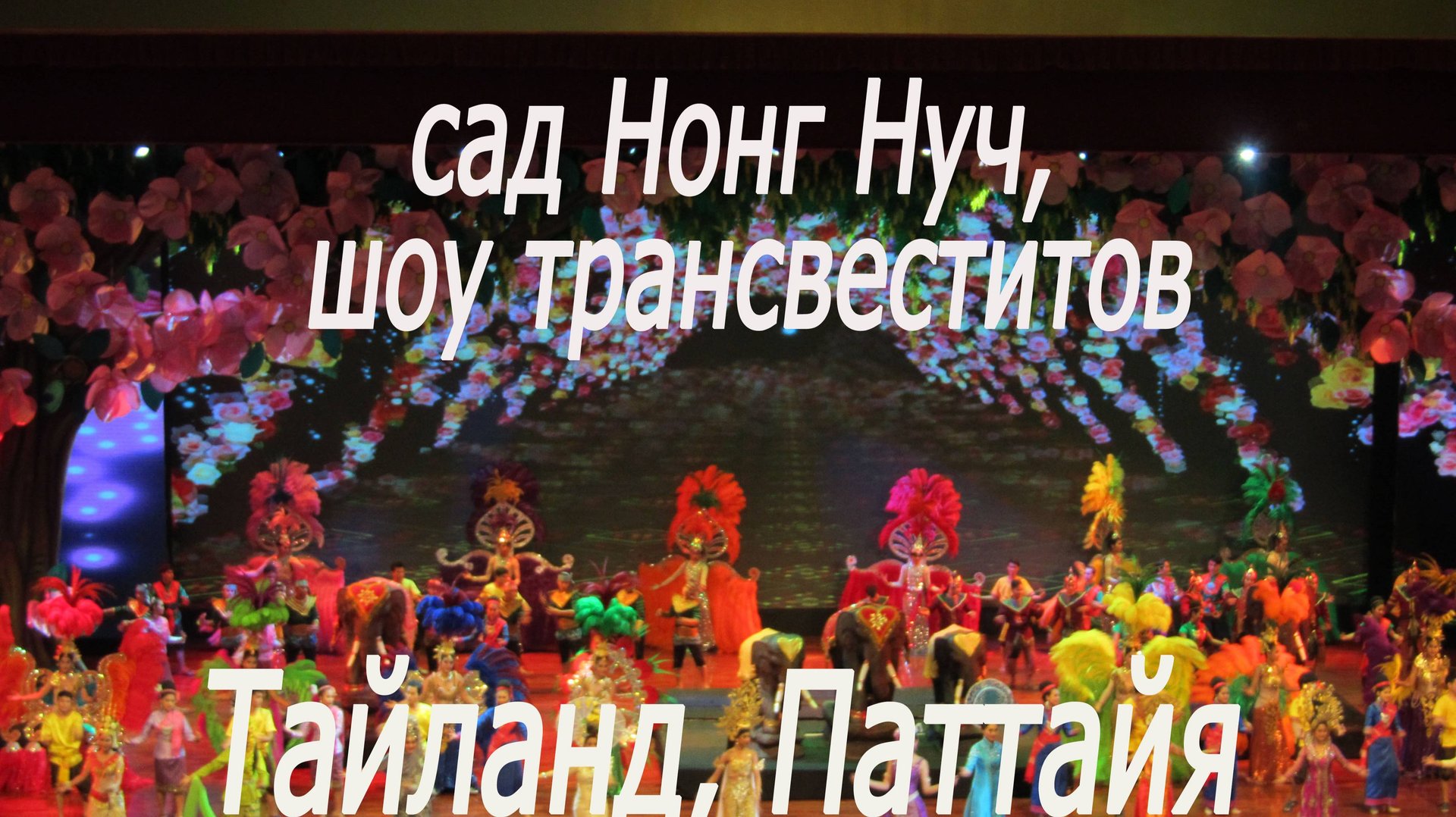 Тайланд,Паттайя, сад НонгНуч, шоу трансвеститов#Thailand,Pattaya,NongNooch garden, transvestite show