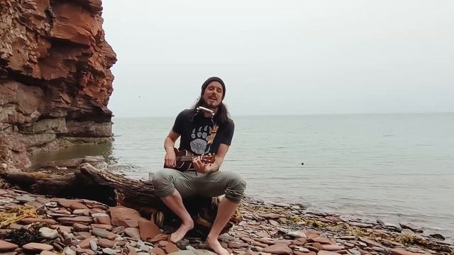 Harmo Goofy ( Cover: Ça va - Émile Bilodeau ) смотреть онлайн