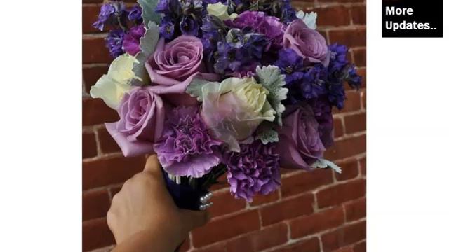 Dark Purple Carnation Bouquet | Picture Combination Of Cute Carnation Flowers