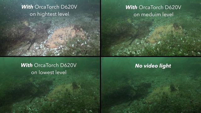 OrcaTorch D620V Underwater Video Light Review смотреть онлайн