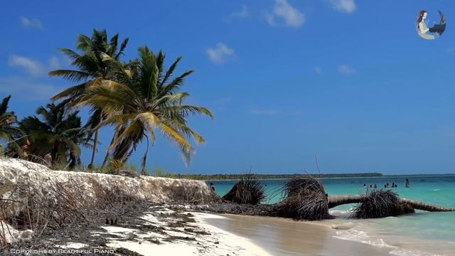 Beautiful Relaxing Music For Stress Relief, Study - Peaceful Piano Music For Sleep, Meditation,Rela