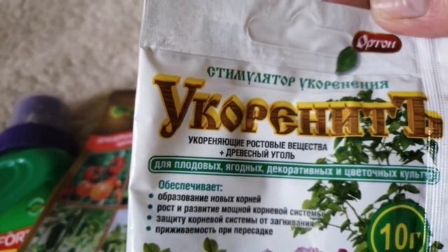 Эстафета. Что в кейсе? смотреть онлайн