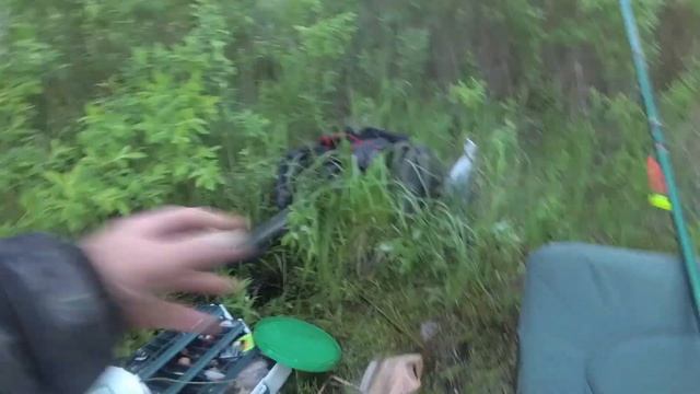 Фидерная рыбалка на Лоше в Беларуси в начале июня. Карась нерестится. смотреть онлайн