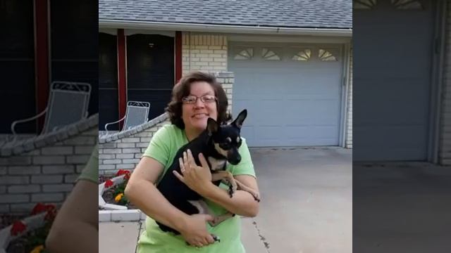 VSA Texas "Paws and Claws" Pet Portraits Fundraiser 2019 смотреть онлайн
