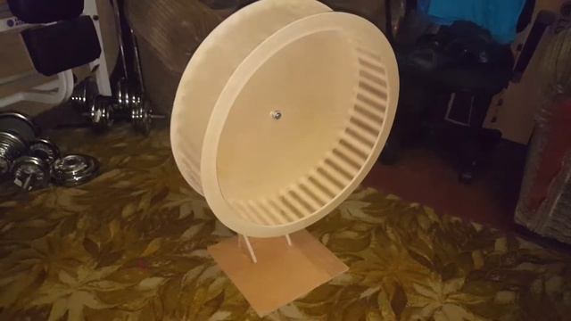 Колесо для белки 1 смотреть онлайн