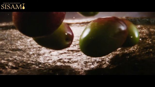 مصاحبه اختصاصی با رضا میرکریمی: استعفا نمی دهم باید برکنارم کنند | فیلم کات