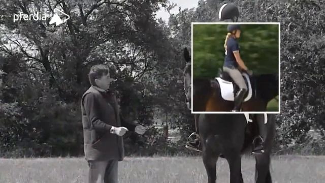 Dressage Explained Part 2: Achieving A Stretching Outline