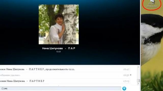 Skype это просто смотреть онлайн