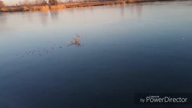 Ребята скоро на лёд!!! смотреть онлайн