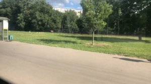 От остановки «Метро Каширская» до остановки«Метро Коломенская» на автобусе с820 // 16 июля 2022 год