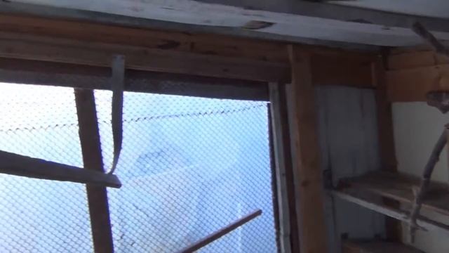 Домики для птенцов волнистых попугайчиков смотреть онлайн