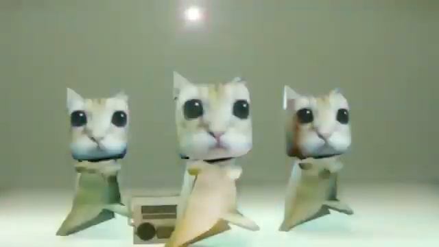El Gato танцует под фонк MURDER IN MY MIND (Speed up) 1 час смотреть онлайн