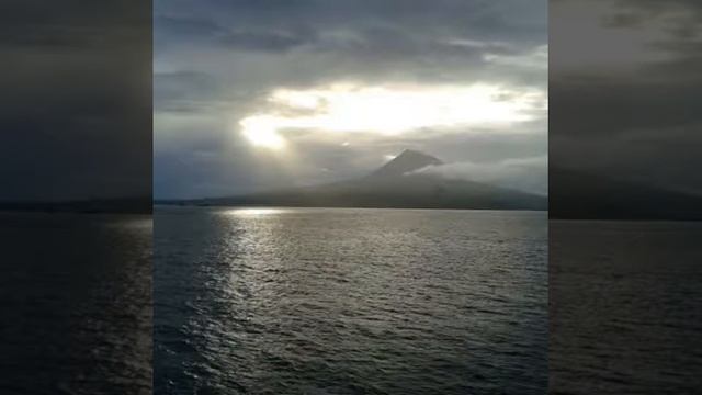 Dry Dockers смотреть онлайн