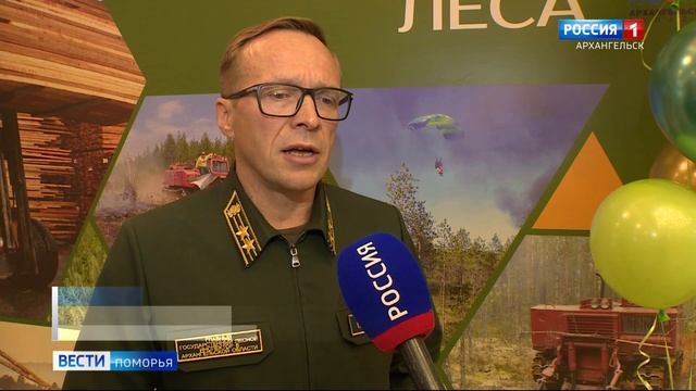 В Архангельске отметили лучших работников лесной промышленности смотреть онлайн