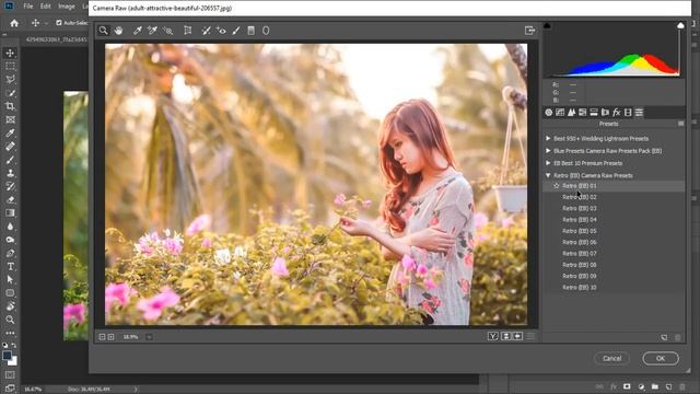 Top 10 Retro Camera Raw Presets Free Download смотреть онлайн