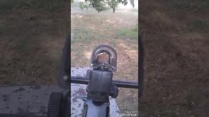 Какой-то китайский коллиматорный прицел установил на старый арбалет МК -50