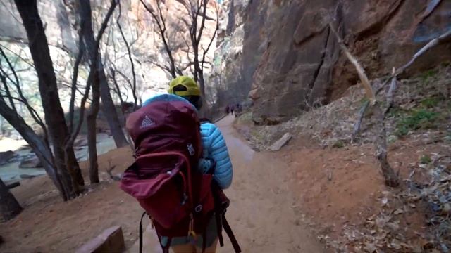 TOP 10 HIKES IN ZION NATIONAL PARK, UTAH смотреть онлайн