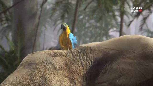 КАК Выжить В ДЖУНГЛЯХ? смотреть онлайн