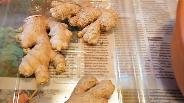 САЖАЕМ ИМБИРЬ ОПЯТЬ ЭКСПЕРИМЕНТ смотреть онлайн