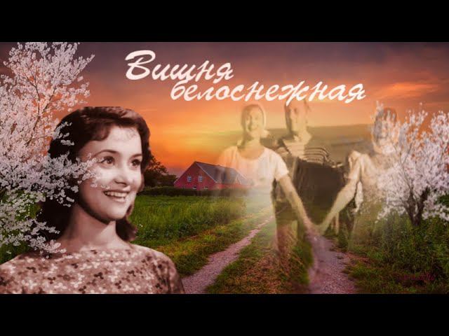 Вишня белоснежная смотреть онлайн