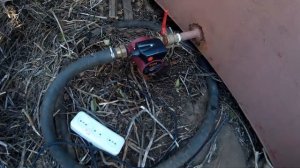 циркуляционный насос в огороде для полива.