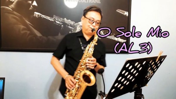 O Sole Mio (Antigua AS4248RLQ Alto Saxophone，Vandoren AL3 Alto Mouthpiece)