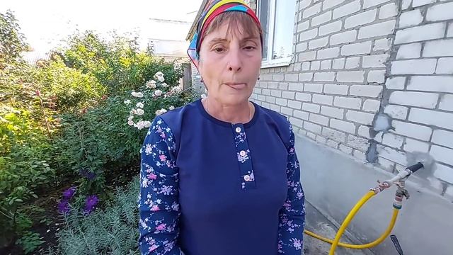 Подкормка роз осенью. Калимагнезия- головная боль розоводов. смотреть онлайн