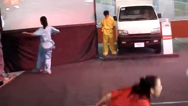 Wushu Exhibition For Product Launch For Chana (Cherry) Automobile Car Show 2010