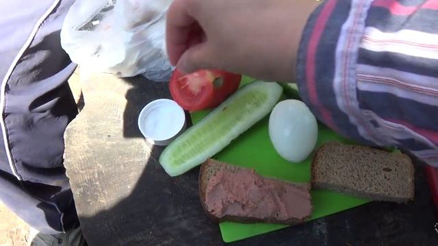 Обед в сосновом бору и Дятлы на гнезде 16 июня 2020. смотреть онлайн