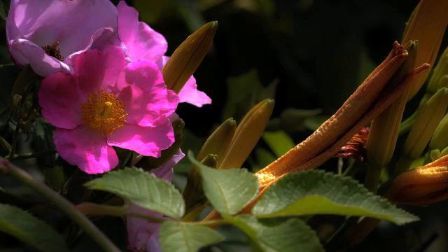 Новые песни и фото - класс! смотреть онлайн