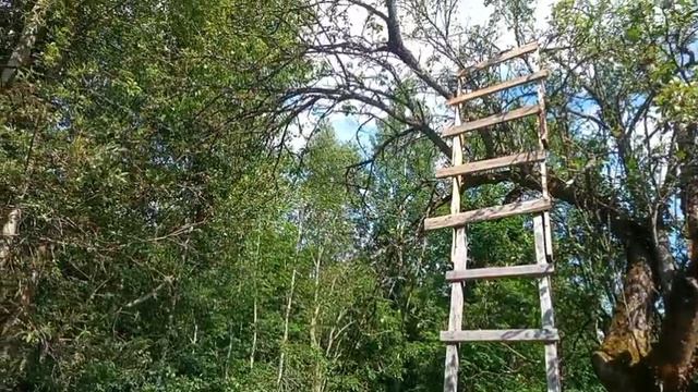 Снимаем рой смотреть онлайн