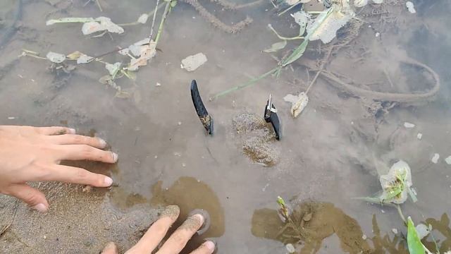 Rogbid Tank M1 Waterproof Test. смотреть онлайн