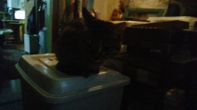 Мастерская