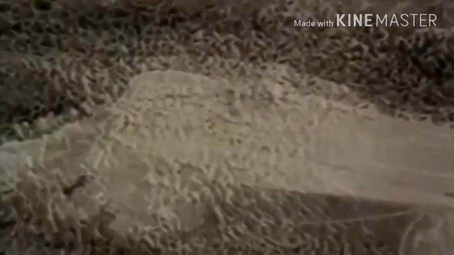 КАК ПОЯВИЛСЯ ЗВУК ВКонтакте! смотреть онлайн