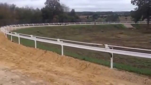 Одоев-трек. Тренировка грейхаундов смотреть онлайн