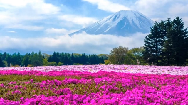 Слушай самого себя. Раджниш Ошо