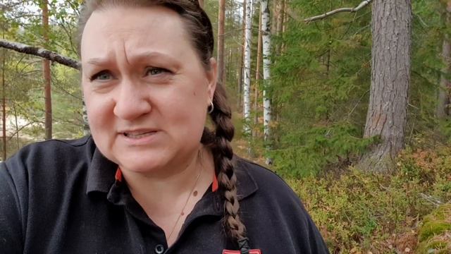 Осиновый кол для вампиров. Почему именно осина? Деревья лекари. Как осина и дуб мне здоровье вернул смотреть онлайн