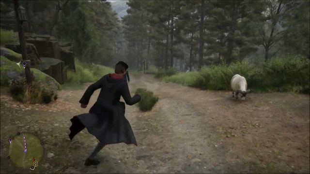 HOW BIG IS THE MAP in Hogwarts Legacy? Sprint Across the Map смотреть онлайн