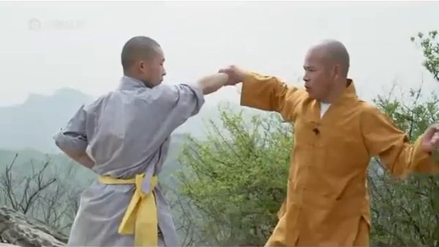 Shaolin Kung Fu: Zhao Yang Quan combat applications смотреть онлайн