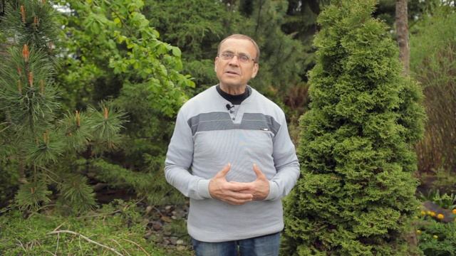 Ефимов В.А. Пушкин и геополитика смотреть онлайн