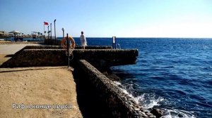 Отель Arabia Azur Resort в Хургаде. Краткий обзор отельного пляжа и территории.