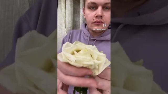 Как продлить жизнь цветам? смотреть онлайн