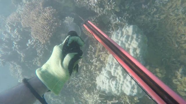 partie 2 Coup de pêche le 9 juin 2023 " Saumoné et Dawa". смотреть онлайн