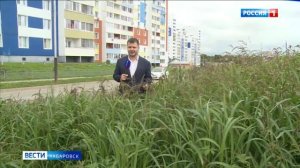 Покос травы