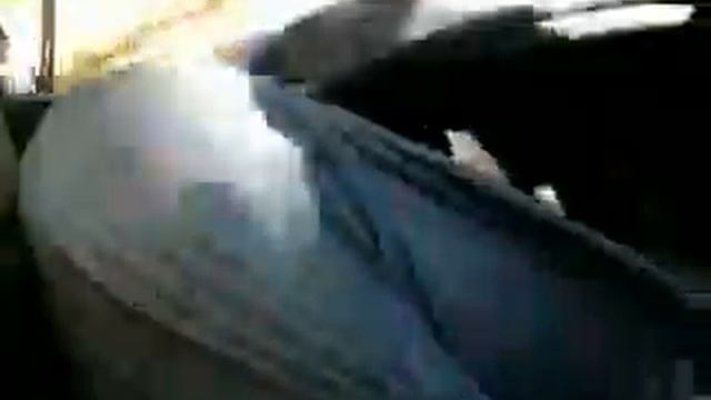 дорога с рыбалки