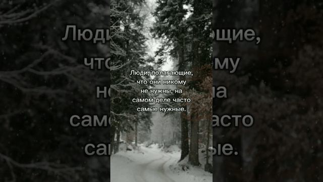 Люди, полагающие, что они никому не нужны.. #цитаты #жизнь #лайкцитаты смотреть онлайн