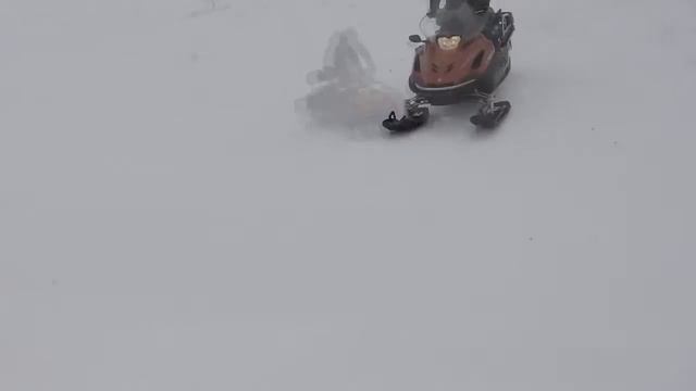 ЗВЕРЬ!!!Yamaha RS Viking Professional смотреть онлайн