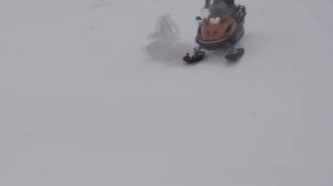 ЗВЕРЬ!!!Yamaha RS Viking Professional