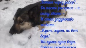 Стих Леонид Дьяконов — Щенок и снег