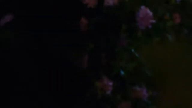 Полное прохожие Erica на русском без комментариев (часть 5) ФИНАЛ смотреть онлайн